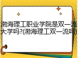 渤海理工职业学院是双一流大学吗?(渤海理工双一流吗)
