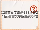武昌首义学院是985还是211(武昌首义学院是985吗)