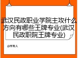武汉民政职业学院主攻什么方向有哪些王牌专业(武汉民政职院王牌专业)