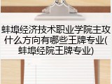 蚌埠经济技术职业学院主攻什么方向有哪些王牌专业(蚌埠经院王牌专业)