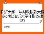 临沂大学一年财政拨款大概多少钱(临沂大学年财政拨款)