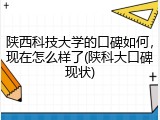 陕西科技大学的口碑如何，现在怎么样了(陕科大口碑现状)