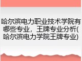 哈尔滨电力职业技术学院有哪些专业，王牌专业分析(哈尔滨电力学院王牌专业)