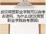 武汉商贸职业学院可以自考去读吗，为什么(武汉商贸职业学院自考原因)