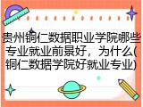 贵州铜仁数据职业学院哪些专业就业前景好，为什么(铜仁数据学院好就业专业)