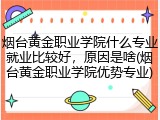 烟台黄金职业学院什么专业就业比较好，原因是啥(烟台黄金职业学院优势专业)