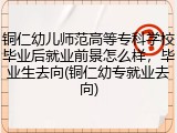 铜仁幼儿师范高等专科学校毕业后就业前景怎么样，毕业生去向(铜仁幼专就业去向)