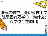 张家界航空工业职业技术学院是否有双学位，为什么(双学位存在原因)