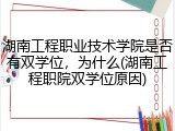 湖南工程职业技术学院是否有双学位，为什么(湖南工程职院双学位原因)