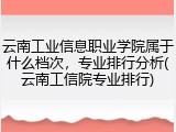 云南工业信息职业学院属于什么档次，专业排行分析(云南工信院专业排行)