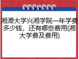 湘潭大学兴湘学院一年学费多少钱，还有哪些费用(湘大学费及费用)