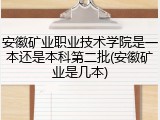 安徽矿业职业技术学院是一本还是本科第二批(安徽矿业是几本)