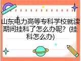 山东电力高等专科学校就读期间挂科了怎么办呢？(挂科怎么办)