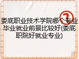 娄底职业技术学院哪个专业毕业就业前景比较好(娄底职院好就业专业)