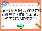 湖北经济学院法商学院开设有哪些奖学和助学金(湖北经济学院法商奖学金)