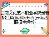 云南文化艺术职业学院最新招生简章深度分析(云南艺职招生解析)