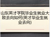 山东英才学院毕业生就业大致去向如何(英才毕业生就业去向)