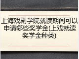上海戏剧学院就读期间可以申请哪些奖学金(上戏就读奖学金种类)