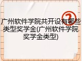 广州软件学院共开设有哪些类型奖学金(广州软件学院奖学金类型)