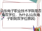 山东电子职业技术学院是否有双学位，为什么(山东电子职院双学位原因)