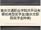 重庆交通职业学院共开设有哪些类型奖学金(重庆交职院奖学金种类)