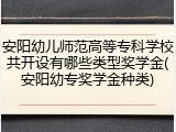 安阳幼儿师范高等专科学校共开设有哪些类型奖学金(安阳幼专奖学金种类)