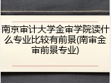 南京审计大学金审学院读什么专业比较有前景(南审金审前景专业)