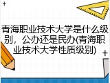 青海职业技术大学是什么级别，公办还是民办(青海职业技术大学性质级别)