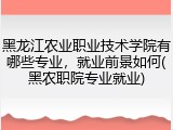 黑龙江农业职业技术学院有哪些专业，就业前景如何(黑农职院专业就业)