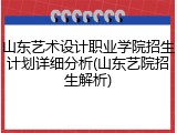 山东艺术设计职业学院招生计划详细分析(山东艺院招生解析)