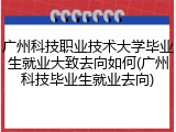 广州科技职业技术大学毕业生就业大致去向如何(广州科技毕业生就业去向)