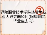 铜陵职业技术学院毕业生就业大致去向如何(铜陵职院毕业生去向)