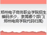 郑州电子商务职业学院招生编码多少，隶属哪个部门(郑州电商学院代码归属)