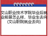 文山职业技术学院毕业后就业前景怎么样，毕业生去向(文山职院就业去向)