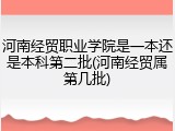 河南经贸职业学院是一本还是本科第二批(河南经贸属第几批)