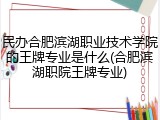 民办合肥滨湖职业技术学院的王牌专业是什么(合肥滨湖职院王牌专业)