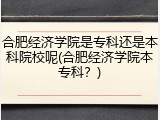 合肥经济学院是专科还是本科院校呢(合肥经济学院本专科？)