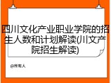 四川文化产业职业学院的招生人数和计划解读(川文产院招生解读)