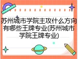 苏州城市学院主攻什么方向有哪些王牌专业(苏州城市学院王牌专业)