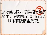武汉城市职业学院招生编码多少，隶属哪个部门(武汉城市职院招生代码)