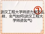 武汉工程大学师资力量怎么样，名气如何(武汉工程大学师资名气)