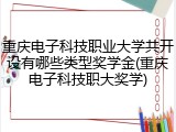 重庆电子科技职业大学共开设有哪些类型奖学金(重庆电子科技职大奖学)