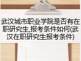 武汉城市职业学院是否有在职研究生,报考条件如何(武汉在职研究生报考条件)