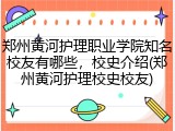 郑州黄河护理职业学院知名校友有哪些，校史介绍(郑州黄河护理校史校友)