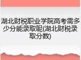 湖北财税职业学院高考需多少分能录取呢(湖北财税录取分数)