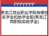 黑龙江商业职业学院有哪些奖学金和助学金呢(黑龙江商职院奖助学金)