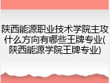 陕西能源职业技术学院主攻什么方向有哪些王牌专业(陕西能源学院王牌专业)