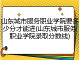 山东城市服务职业学院要多少分才能进(山东城市服务职业学院录取分数线)
