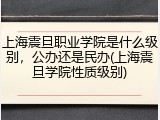 上海震旦职业学院是什么级别，公办还是民办(上海震旦学院性质级别)