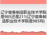 辽宁装备制造职业技术学院是985还是211(辽宁装备制造职业技术学院是985吗)